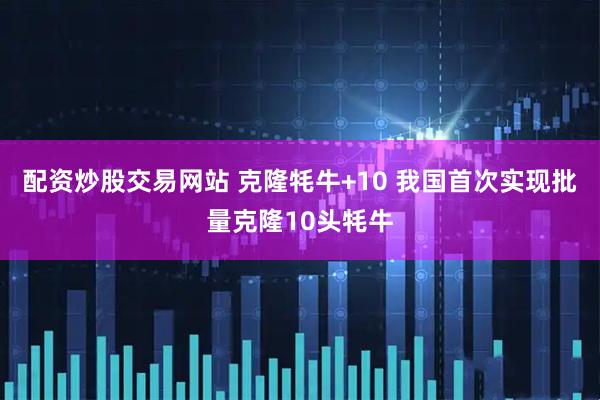 配资炒股交易网站 克隆牦牛+10 我国首次实现批量克隆10头牦牛